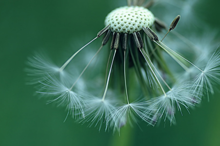 Bild-Nr: 10932853 Roundabout Erstellt von: youhaveadream