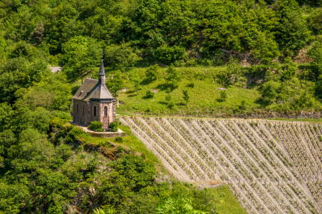 Bild-Nr: 10934153 Clemenskapelle 25 Erstellt von: Erhard Hess