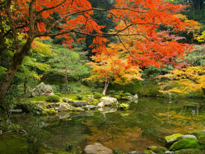 Bild-Nr: 10941267 Japanischer Garten im Herbst Erstellt von: eyetronic