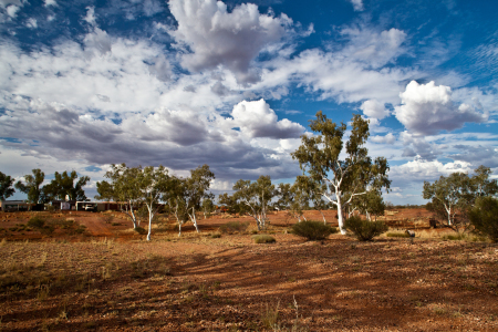 Bild-Nr: 10946485 Emu Creek Staion Erstellt von: ollyw