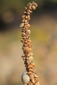 Bild-Nr: 10948677 Schneckenwohnblock Erstellt von: nicoleblick