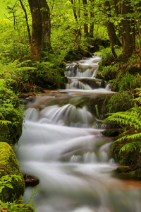 Bild-Nr: 10950077 Wasser ist Leben Erstellt von: Thomas Herzog