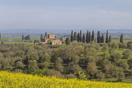 Bild-Nr: 10964127 Im Val di Orcia Erstellt von: EderHans