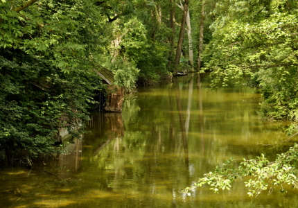 Bild-Nr: 10970560 .. am Fluss .. Erstellt von: GUGIGEI