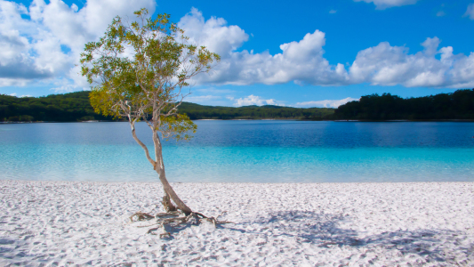 Bild-Nr: 10971484 Lake McKenzie Landscape Erstellt von: andreasschwalm