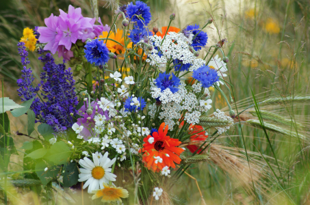 Bild-Nr: 10976486 Wildblumenstrauß Erstellt von: Tanja Riedel