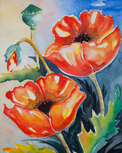 Bild-Nr: 10976528 Mohn Erstellt von: Christian Thieme