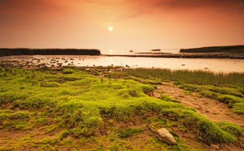 Bild-Nr: 10978580 Golden Light on the river Erstellt von: Nordbilder