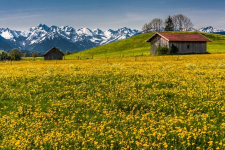 Bild-Nr: 10978716 Allgäuer Wiese Erstellt von: TomKli