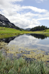 Bild-Nr: 10984368 .. auf der Alm ... Erstellt von: GUGIGEI