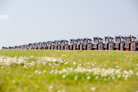 Bild-Nr: 10986776 Strandkörbe in Reihe - Norderney, Deutschland Erstellt von: goekce-narttek