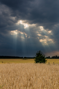 Bild-Nr: 10992436 Wolkenlöcher Erstellt von: TomKli