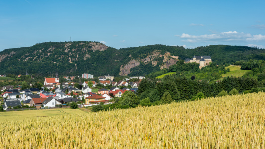 Bild-Nr: 10994396 Ebernburg+Rheingrafenstein Erstellt von: Erhard Hess