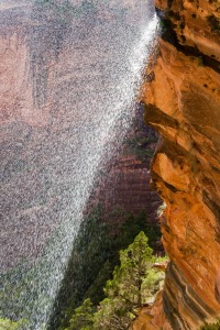 Bild-Nr: 10999104 Zion NP Waterfall Erstellt von: TomKli