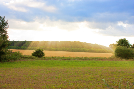 Bild-Nr: 11000114 Sonnenstrahlen über dem Feld Erstellt von: Gilidhor