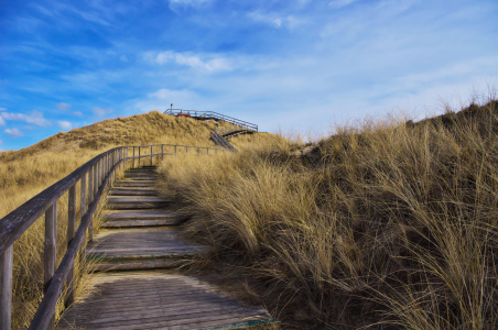 Bild-Nr: 11000826 Aussichtsdüne Insel Amrum Erstellt von: Angela  Dölling