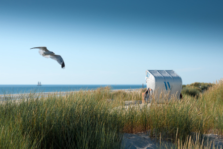 Bild-Nr: 11003038 Nordsee - Dünenzauber Erstellt von: Reiner Würz