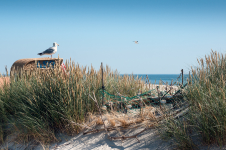 Bild-Nr: 11003254 Nordsee - Strandburg mit Muscheln und Möwe Erstellt von: Reiner Würz