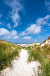 Bild-Nr: 11003308 Nordsee - Idyllischer Strandweg auf Amrum Erstellt von: Reiner Würz