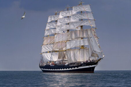 Bild-Nr: 11010446 Segelschiff mit Möwe  Erstellt von: Ina  Penning