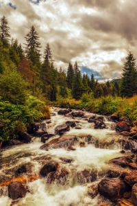 Bild-Nr: 11016400 Tirol  - Herbstfarben am Gebirgsbach Erstellt von: wompus