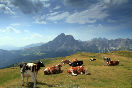 Bild-Nr: 11016440 Peitlerkofel Erstellt von: Gerhard Albicker