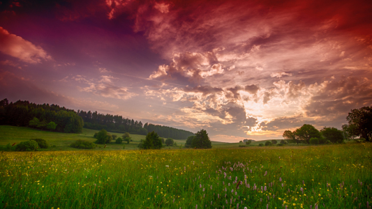 Bild-Nr: 11021465 Sommermorgen Erstellt von: midie