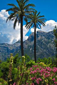 Bild-Nr: 11029143 Palm Trees In The Botanical Garden Erstellt von: alvarosoto