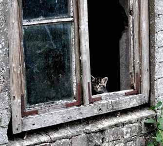 Bild-Nr: 11032891 Fensterplatz Erstellt von: Sabineleifels