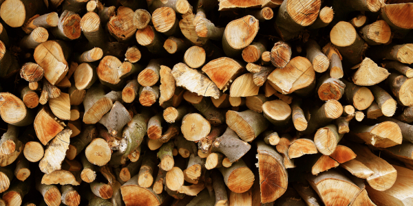 Bild-Nr: 11040139 Holz für den Winter Erstellt von: Mausopardia