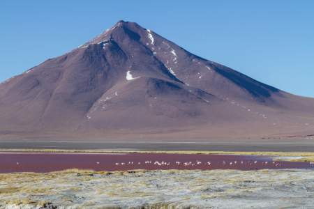 Bild-Nr: 11041377 Laguna Colorada, Bolivien Erstellt von: janschuler