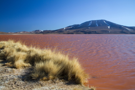 Bild-Nr: 11041391 Laguna Colorada Erstellt von: janschuler