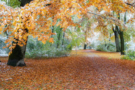 Bild-Nr: 11043829 Durch den Herbst wandern Erstellt von: hannes cmarits