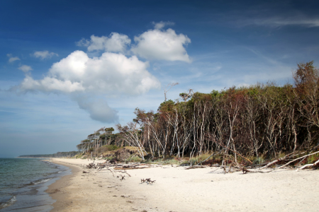 Bild-Nr: 11044715 The Beach Erstellt von: FotoDeHRO