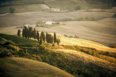 Bild-Nr: 11046731 Toskana Landschaft Erstellt von: Markus Gann