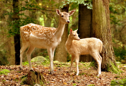 Bild-Nr: 11048601 Mutter und Kind Erstellt von: GUGIGEI