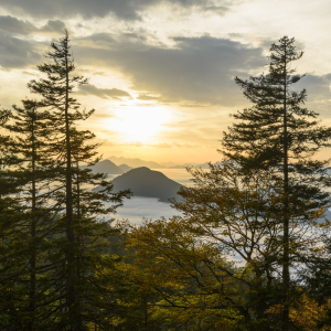 Bild-Nr: 11048713 Herbst auf der Hochalm Erstellt von: DenisFeiner