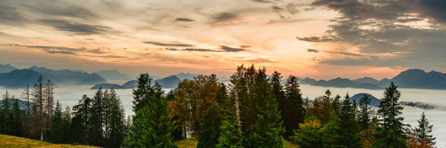 Bild-Nr: 11048733 Herbstlicht Erstellt von: DenisFeiner