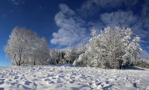 Bild-Nr: 11050045 Winterzauber Erstellt von: Marcel Schauer