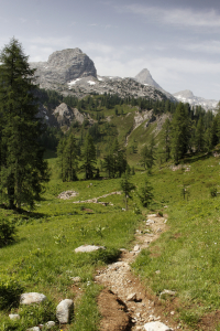 Bild-Nr: 11053367 Schottmalhorn und Schönfeldspitze Steinernes Meer Erstellt von: Rene Müller