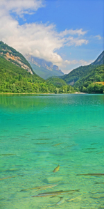 Bild-Nr: 11054271 Fische im Lago di Tenno Erstellt von: Mausopardia