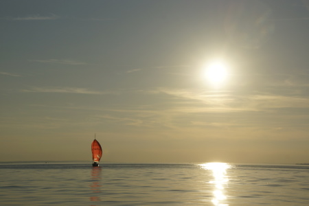 Bild-Nr: 11056637 Segelboot auf Bodensee Erstellt von: ruschmeier