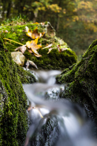 Bild-Nr: 11058633 Kleiner Wasserfall Erstellt von: Blendenfabrik