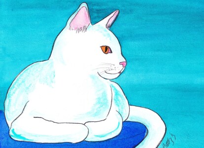 Bild-Nr: 11061531 White cat Erstellt von: Michaba