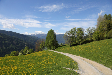 Bild-Nr: 11064035 Alpenwanderweg Erstellt von: Marcel Schauer