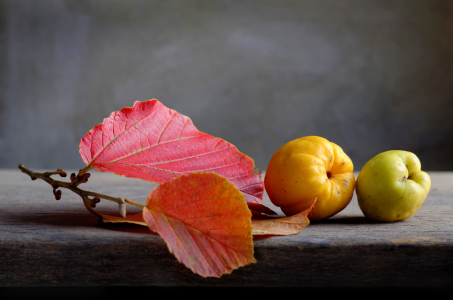 Bild-Nr: 11065635 Herbstliches Erstellt von: Rolf Eschbach