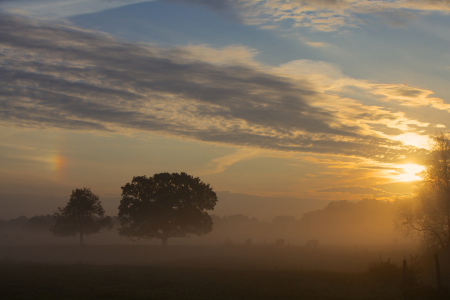 Bild-Nr: 11069551 Herbstmorgen Erstellt von: Jens Kalanke