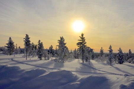 Bild-Nr: 11071765 Winterromantik Erstellt von: GUGIGEI