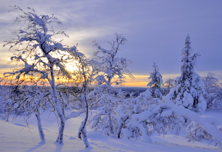 Bild-Nr: 11071796 Wintertag in Finnland Erstellt von: GUGIGEI