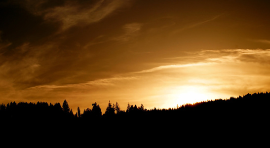 Bild-Nr: 11072401 Silhouetten Erstellt von: youhaveadream
